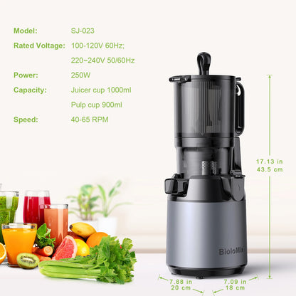 BioloMix Cold Press Juicer 130mm